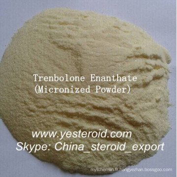 Le bodybuilding complète des stéroïdes Trenbolone Enanthate (parabolan)